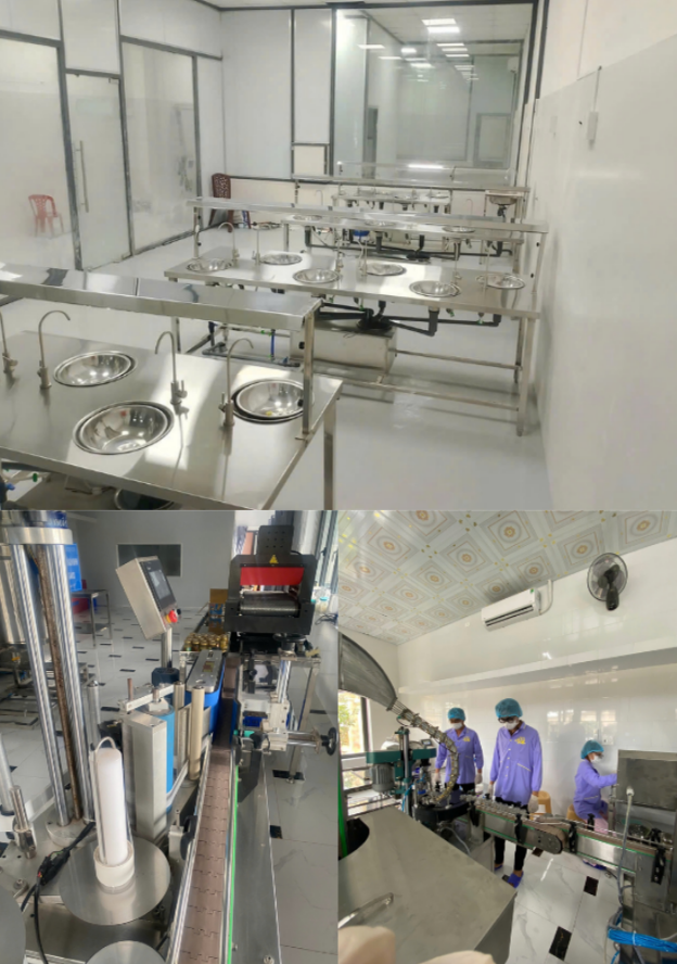 Lắp đặt Xưởng Tinh chế Yến sào (Trọn gói)