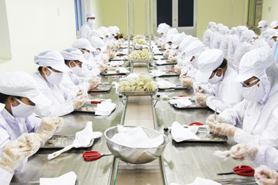 HƯỚNG DẪN XÂY DỰNG XƯỞNG SẢN XUẤT YẾN ĐÁP ỨNG YÊU CẦU HACCP hoặc ISO 22000