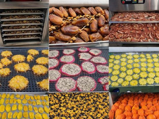 Mất bao lâu để sấy lạnh một mẻ trái cây?