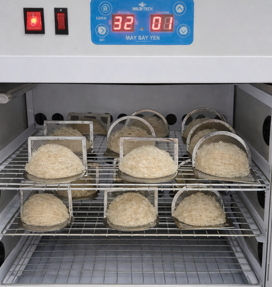 Máy sấy yến MILOTECH – Giải pháp cho doanh nghiệp chế biến yến