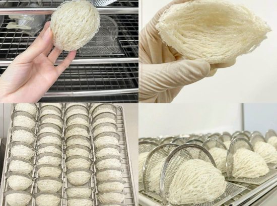 Máy sấy yến MILOTECH – Giải pháp cho doanh nghiệp chế biến yến