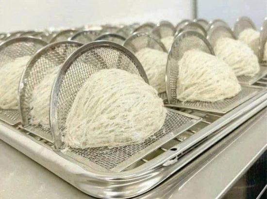 [NHÀ YẾN THÔNG MINH 4.0] – KHI KỸ THUẬT TRUYỀN THỐNG GẶP GỠ CÔNG NGHỆ SẤY HIỆN ĐẠI MILOTECH