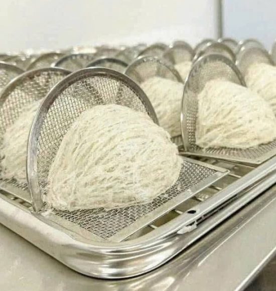 [NHÀ YẾN THÔNG MINH 4.0] – KHI KỸ THUẬT TRUYỀN THỐNG GẶP GỠ CÔNG NGHỆ SẤY HIỆN ĐẠI MILOTECH