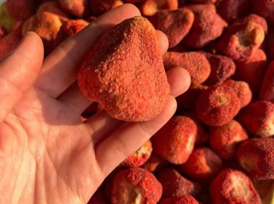 PHÉP MÀU THĂNG HOA: BIẾN TRÁI CÂY ĐẮT ĐỎ THÀNH SIÊU THỰC PHẨM GIÒN TAN, NGUYÊN BẢN