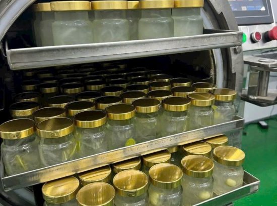 BÍ QUYẾT GIỮ TRỌN VI CHẤT TRONG 10.000 HŨ YẾN: QUY TRÌNH TIỆT TRÙNG QUY MÔ LỚN TỪ MILOTECH